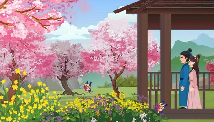 六月雪哪个品种最贵