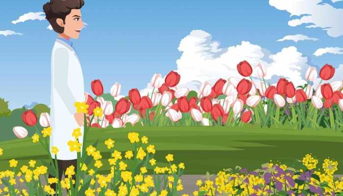 六月雪干枯还能活吗？