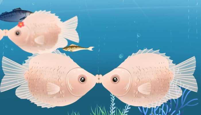 小动物在下雨前的行为