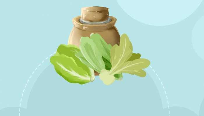 夏季泡菜的做法，有什么要诀