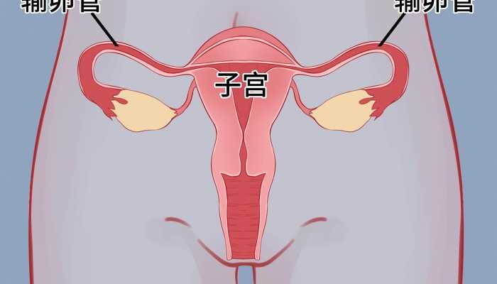 子宫内膜增厚能否怀孕