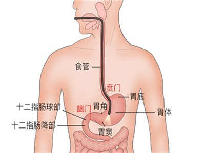 节后清肠减脂 扫光身体垃圾