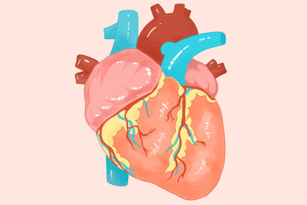 9成腰粗者属内脏肥胖 内脏脂肪怎么减