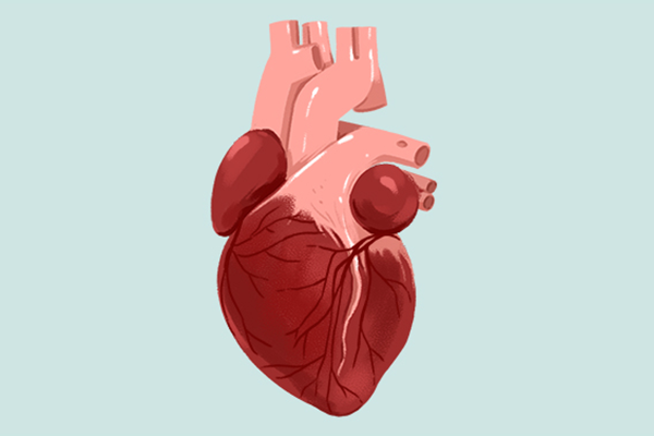 9成腰粗者属内脏肥胖 内脏脂肪怎么减