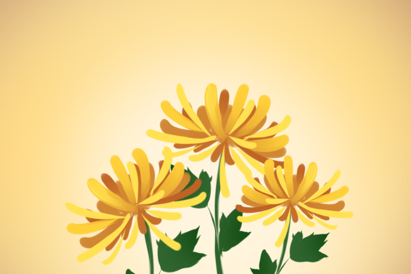 减肥中药大检阅