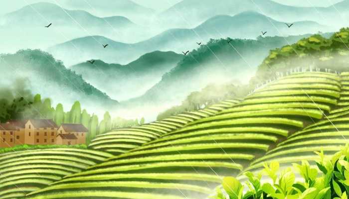 更年期月经不调怎么办?食疗法最有效?