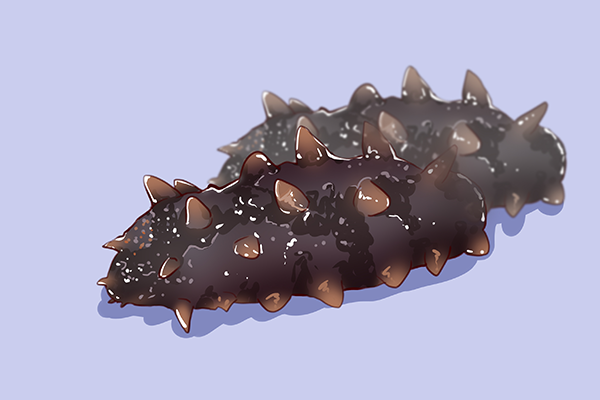 海蜇功效与作用及禁忌 海蜇的营养价值 海蜇的好处