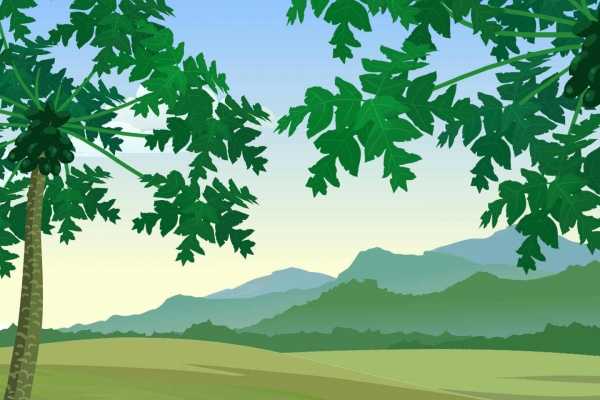 椰子肉有哪些营养成分 椰子的营养价值 椰子的功效