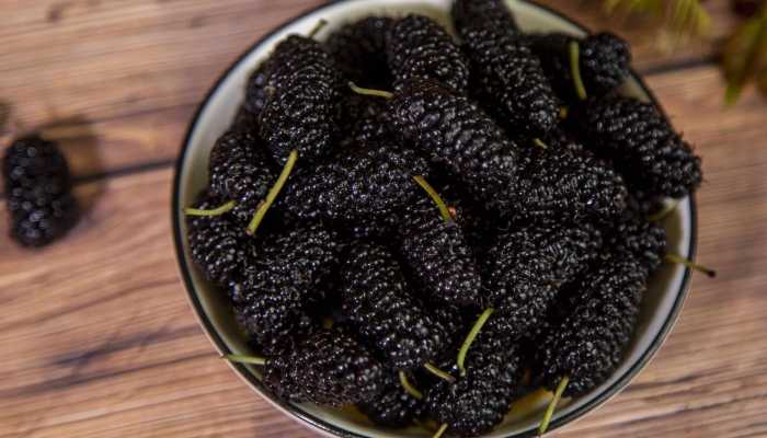 枸杞子与桑葚子可同饮吗？ 枸杞桑椹泡酒喝的功效