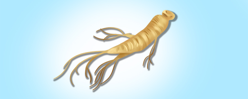 人参花泡水喝的功效与禁忌 人参花泡水喝有什么功效