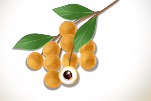 桂圆性温还是性寒 桂圆的营养价值 桂圆的好处有哪些