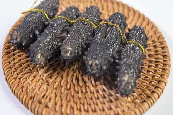 辽参的功效和作用 辽参的营养价值 辽参的好处