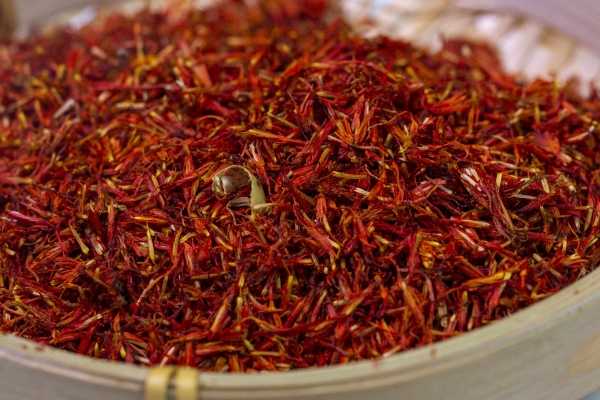 草红花的功效和作用 草红花的营养价值 草红花的好处有哪些