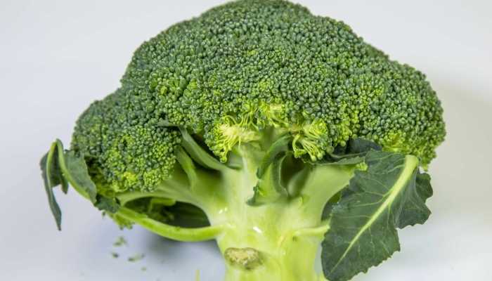 后背有痘痘是什么原因 后背有痘痘吃什么好