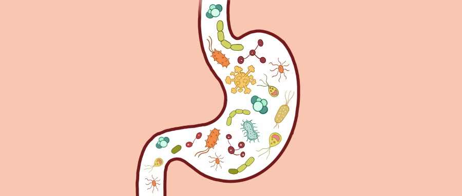 酵素的功效与作用 酵素的禁忌