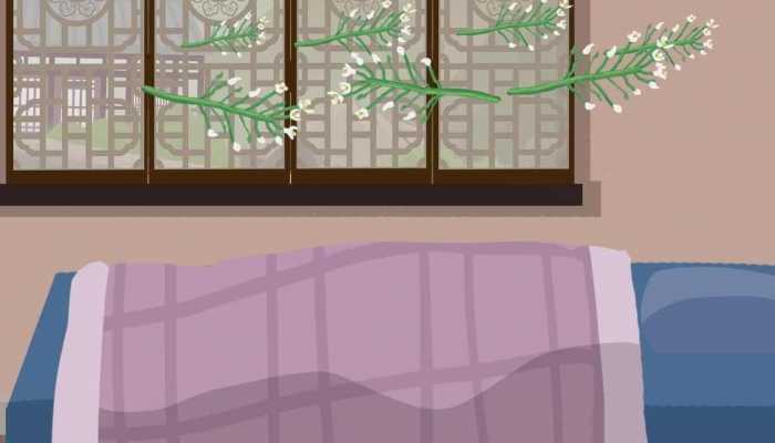 什么食物含钙量多 食物含钙量排名