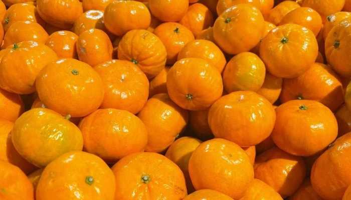 鲜榛子有什么功效 榛子怎么吃