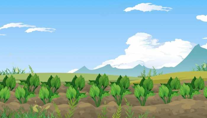 补钙的食物有哪些 补钙的禁忌