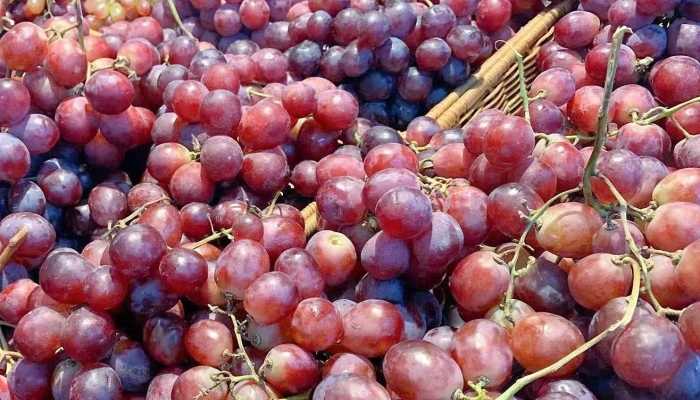 提子是寒性的吗？ 提子吃了上火吗？