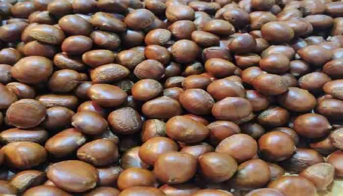 板栗的功效作用 板栗的禁忌