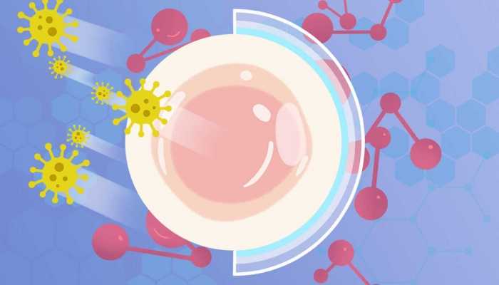 平菇的食用禁忌有哪些呢 平菇的作用