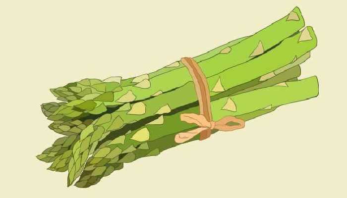 怀孕可以吃芦笋吗？ 芦笋的营养价值及功效