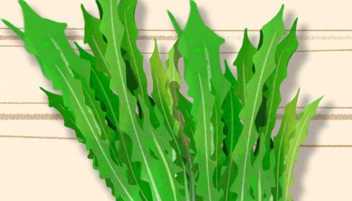 内分泌失调该怎么调理 内分泌失调吃什么好