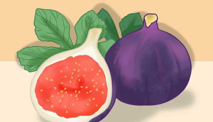 无花果的药用价值 无花果能治什么病