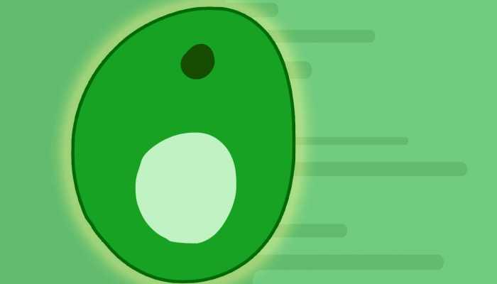 宝宝拉肚子可以喝乳酸菌吗？ 乳酸菌喝了有什么好处