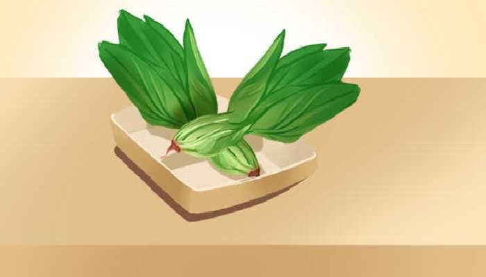 长痘吃什么蔬菜好 调理身体的食疗方法