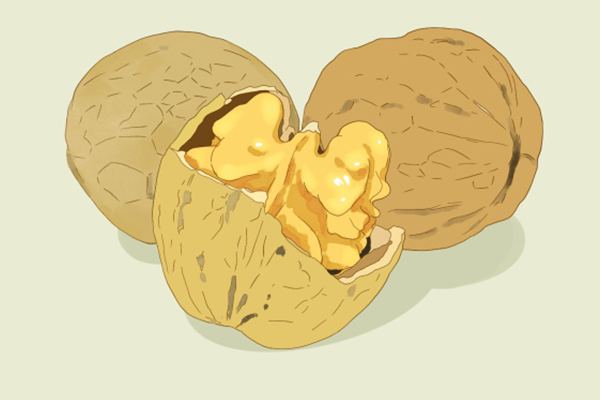 核桃的营养价值