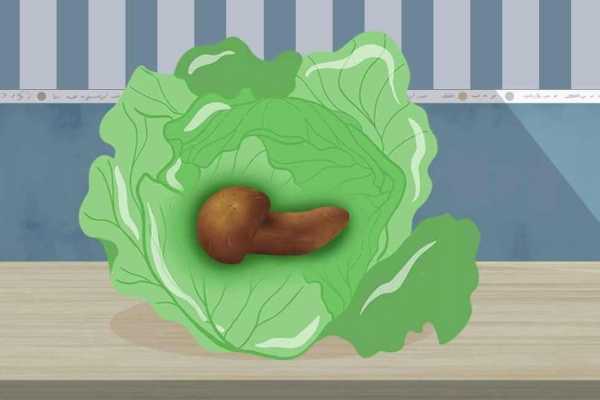 松茸与姬松茸的区别 松茸和姬松茸有什么不同