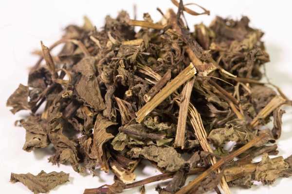 薄荷的禁忌有哪些 什么人不能吃薄荷
