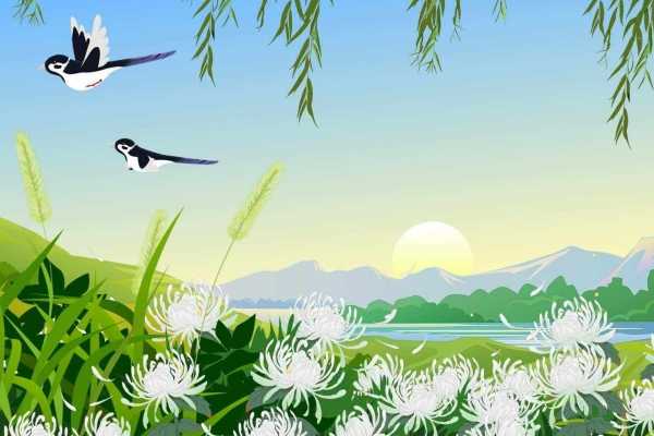 绿豆芽有什么营养价值 绿豆芽有什么好处