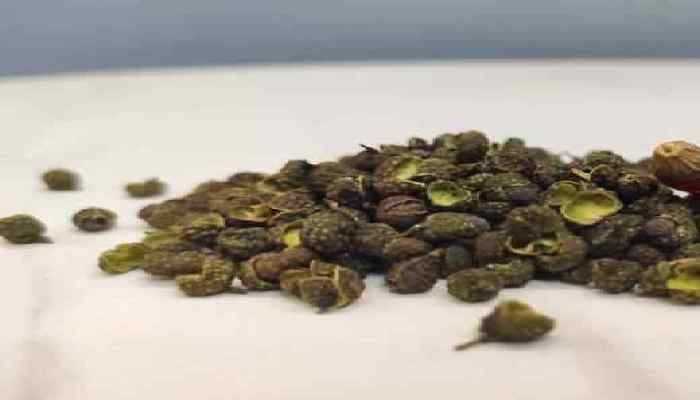 青花椒好还是红花椒好 青花椒和红花椒的区别