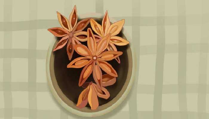 怀孕初期能吃桂皮八角吗？ 怀孕的饮食禁忌