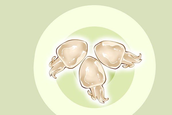 目鱼干的营养价值 目鱼干的好处