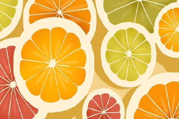 牛油果的功效与作用 牛油果的营养价值 牛油果有哪些好处