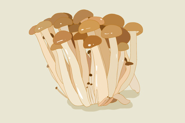 梨菇的营养价值与功效 梨菇的营养价值