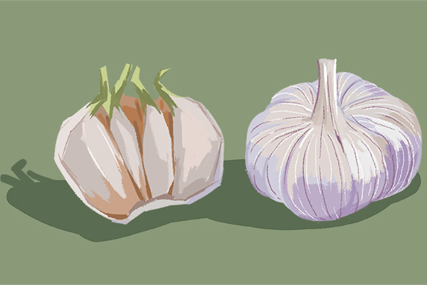 生蒜和熟蒜的营养价值 生蒜和熟蒜的功效和作用