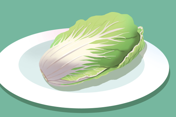 青少年饮食营养与健康 青少年饮食应该注意什么