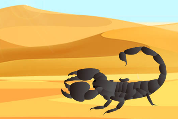 蚯蚓的药用价值 蚯蚓的功效与作用