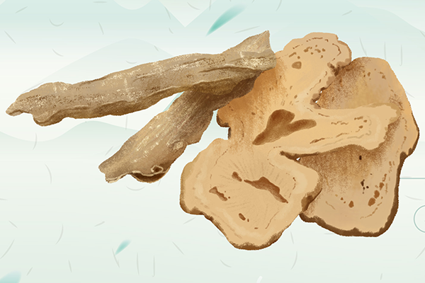 蚯蚓的药用价值 蚯蚓的功效与作用