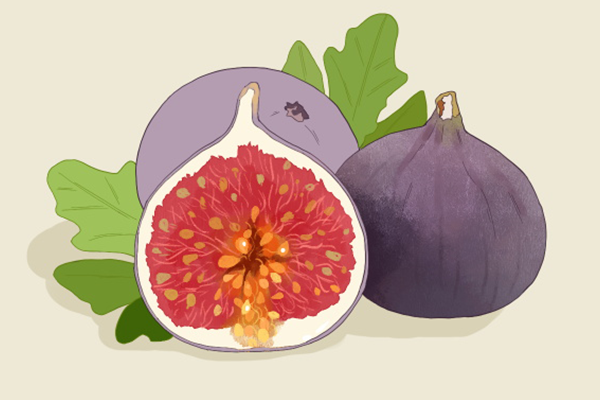 无花果的药用价值 无花果有什么功效