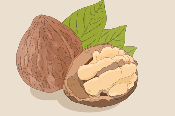 核桃的功效作用 核桃的营养价值 核桃有哪些好处