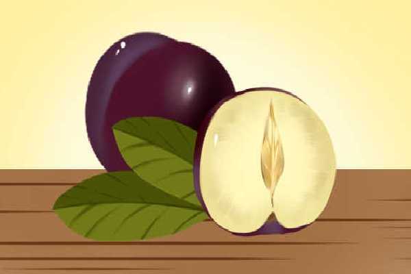 李子的功效与作用 李子的营养价值 李子有什么好处