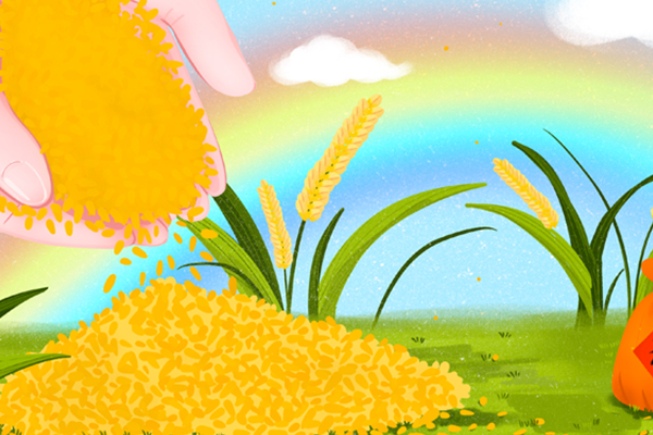 小米的功效及作用 小米有哪些好处 小米的营养价值