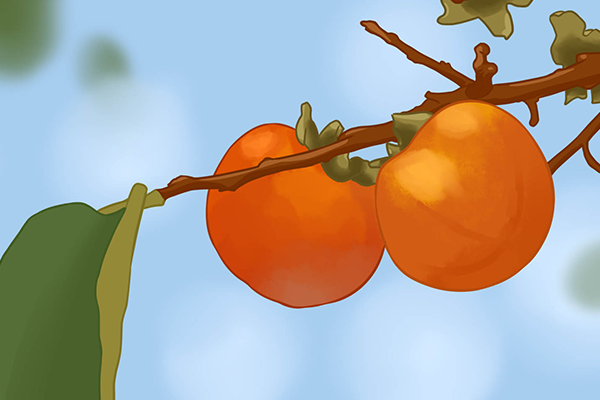 柿子饼的功效与作用 柿子饼的好处有哪些