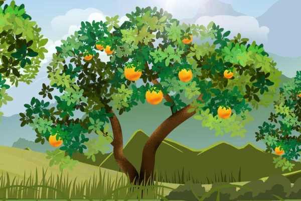 葡萄的功效作用 葡萄的营养价值 葡萄的好处有哪些