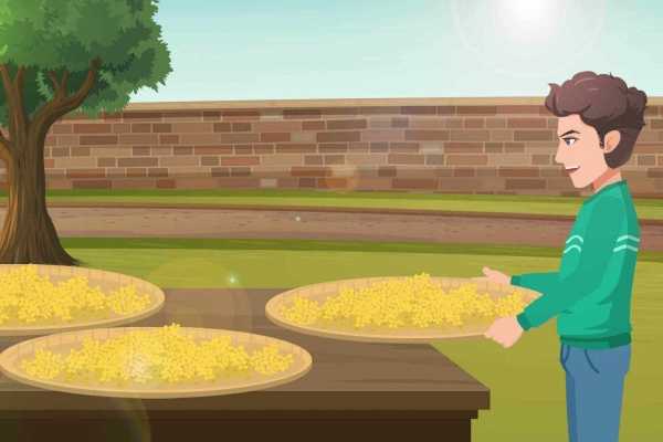 桂花酒的功效与作用是什么？ 桂花酒有什么好处 桂花酒的营养价值